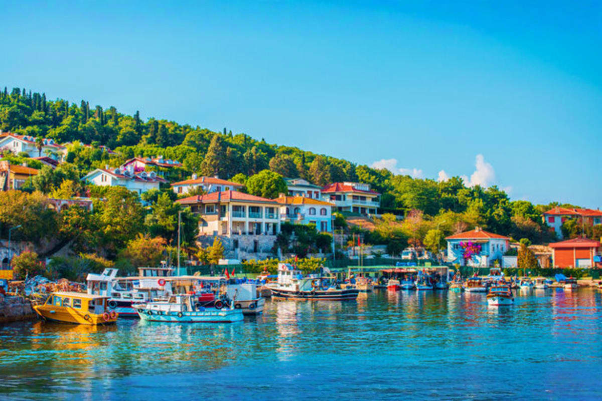 Colorful fishing boats moored in a Mediterranean harbor with traditional houses and green hillside in a Turkish coastal villa