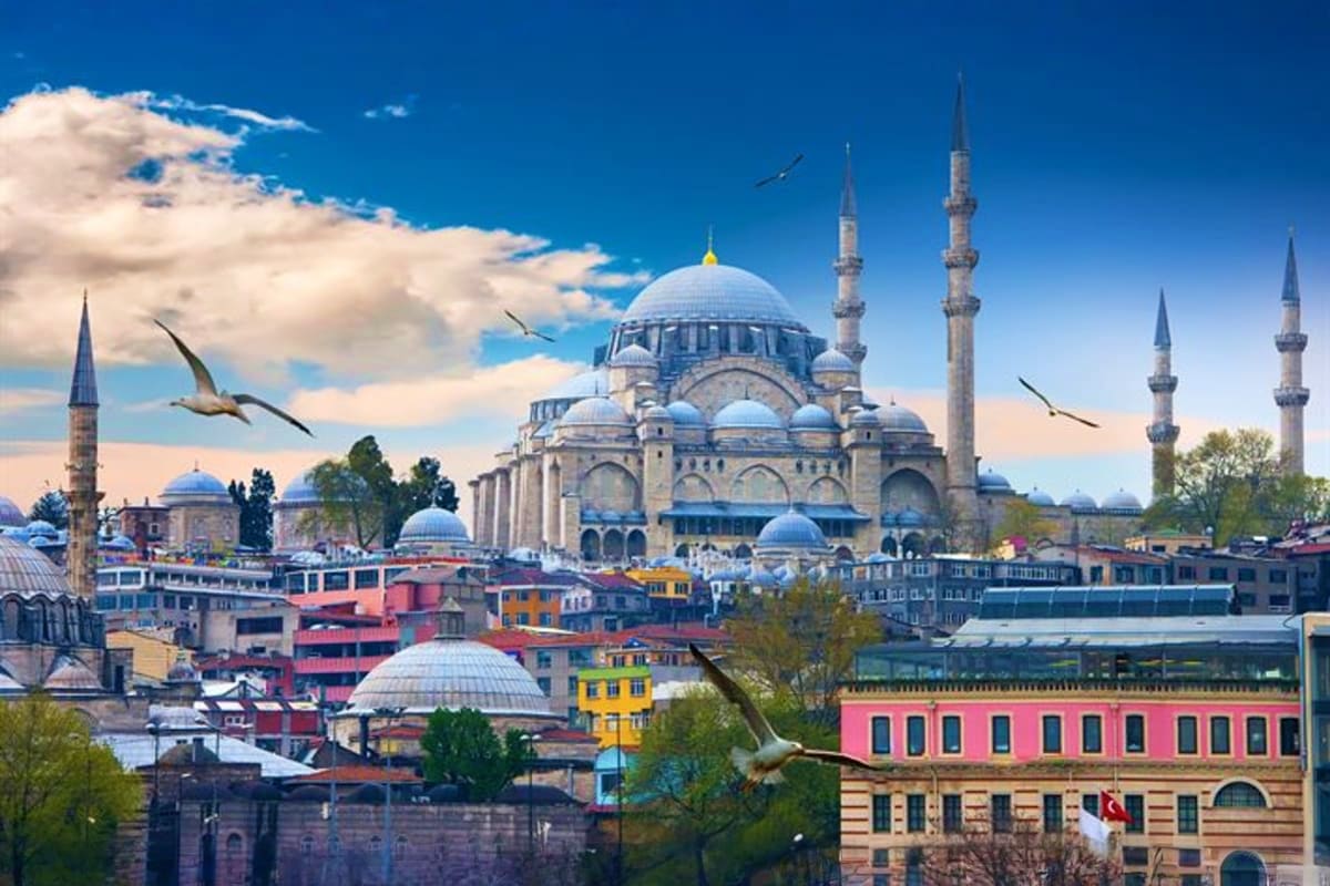 Istanbul skyline featuring blue-domed mosques with minarets, colorful historic buildings, and flying birds under clear sky