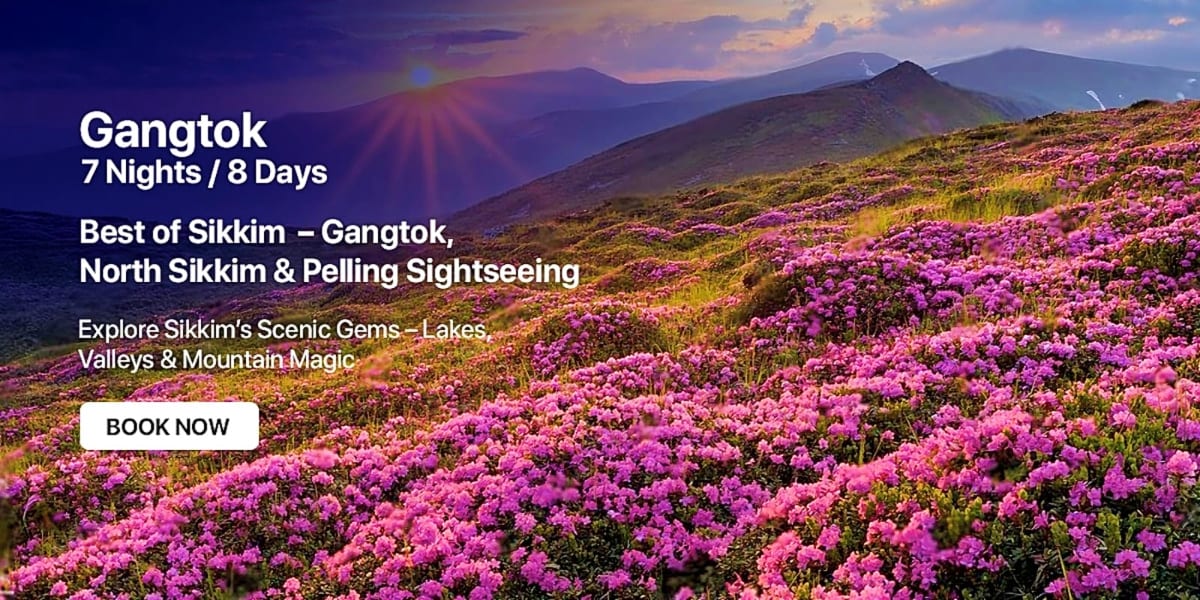 Alpine meadow with vibrant pink rhododendron flowers, mountains and sunset sky in Gangtok, Sikkim