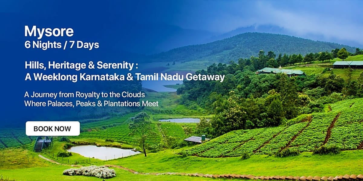 Lush green hills and tea plantations in Mysore with misty mountains, lakes, and verdant valleys under blue sky