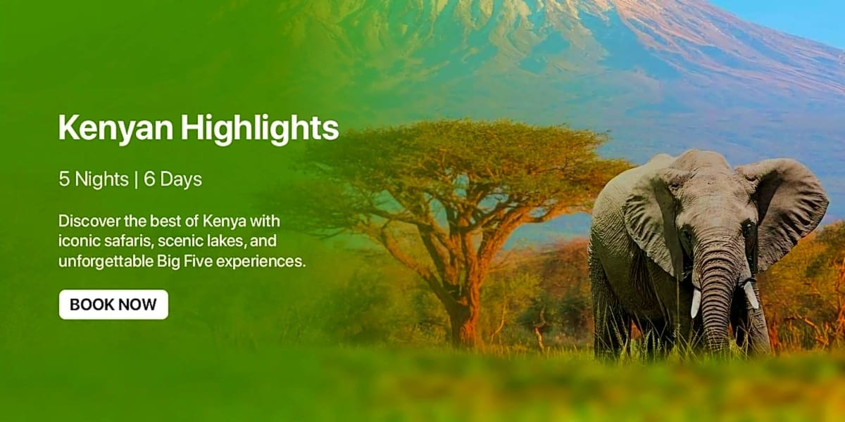 African elephant walking through savanna landscape with acacia tree and Mount Kilimanjaro in background