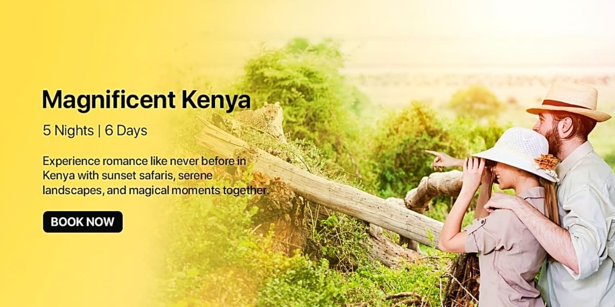 Couple on safari in Kenya using binoculars to observe wildlife in natural landscape with acacia trees