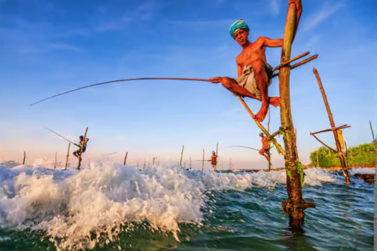 Galle Day Tour with Tea Factory and Cinnamon Island from Colombo Stilt fishermen in traditional poses on wooden poles in shallow ocean waters with waves, a common sight in Sri Lanka's coasta
