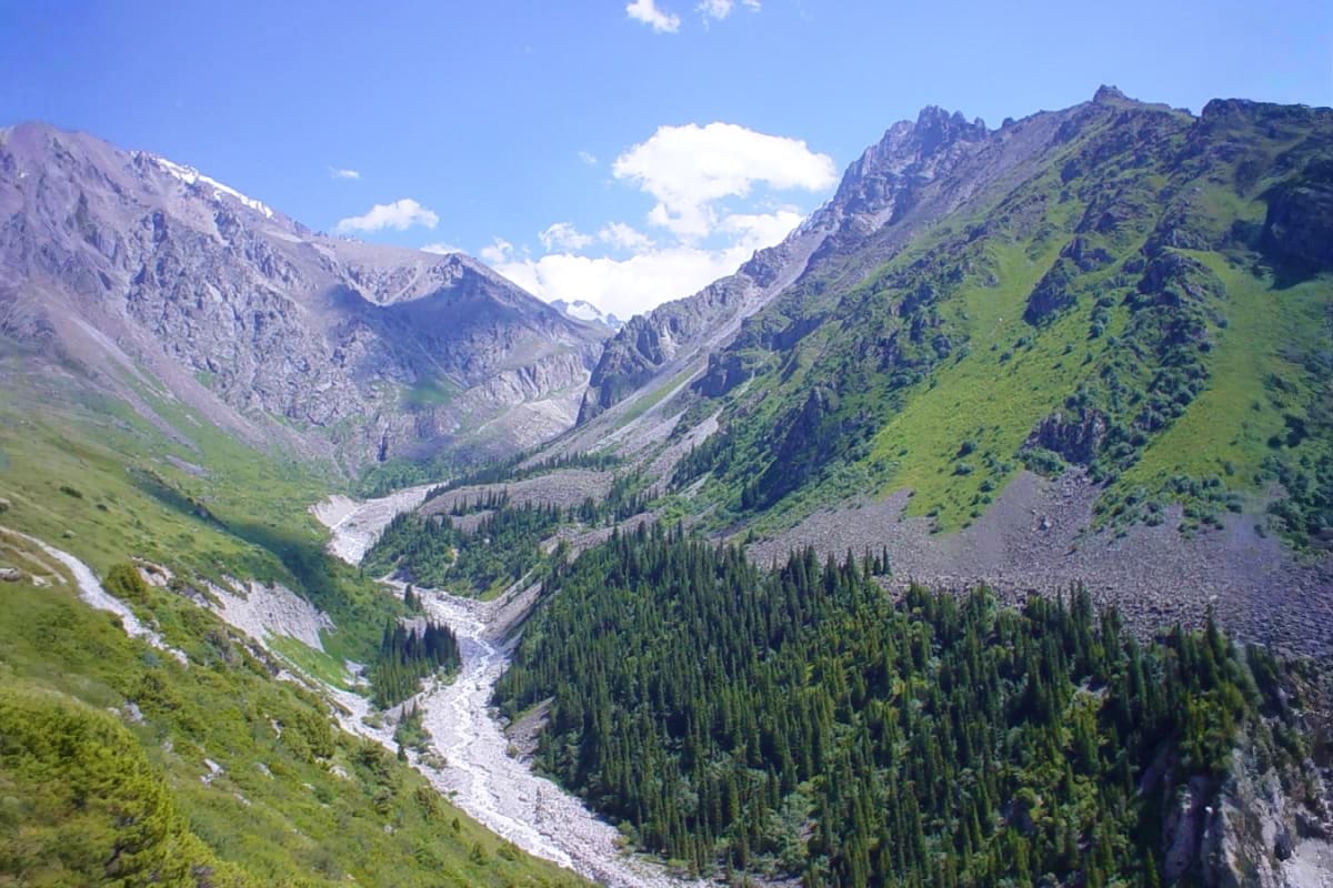 Alpine valley with snow-fed river, coniferous forests, and steep mountain peaks in Ala Archa National Park, Kyrgyzstan