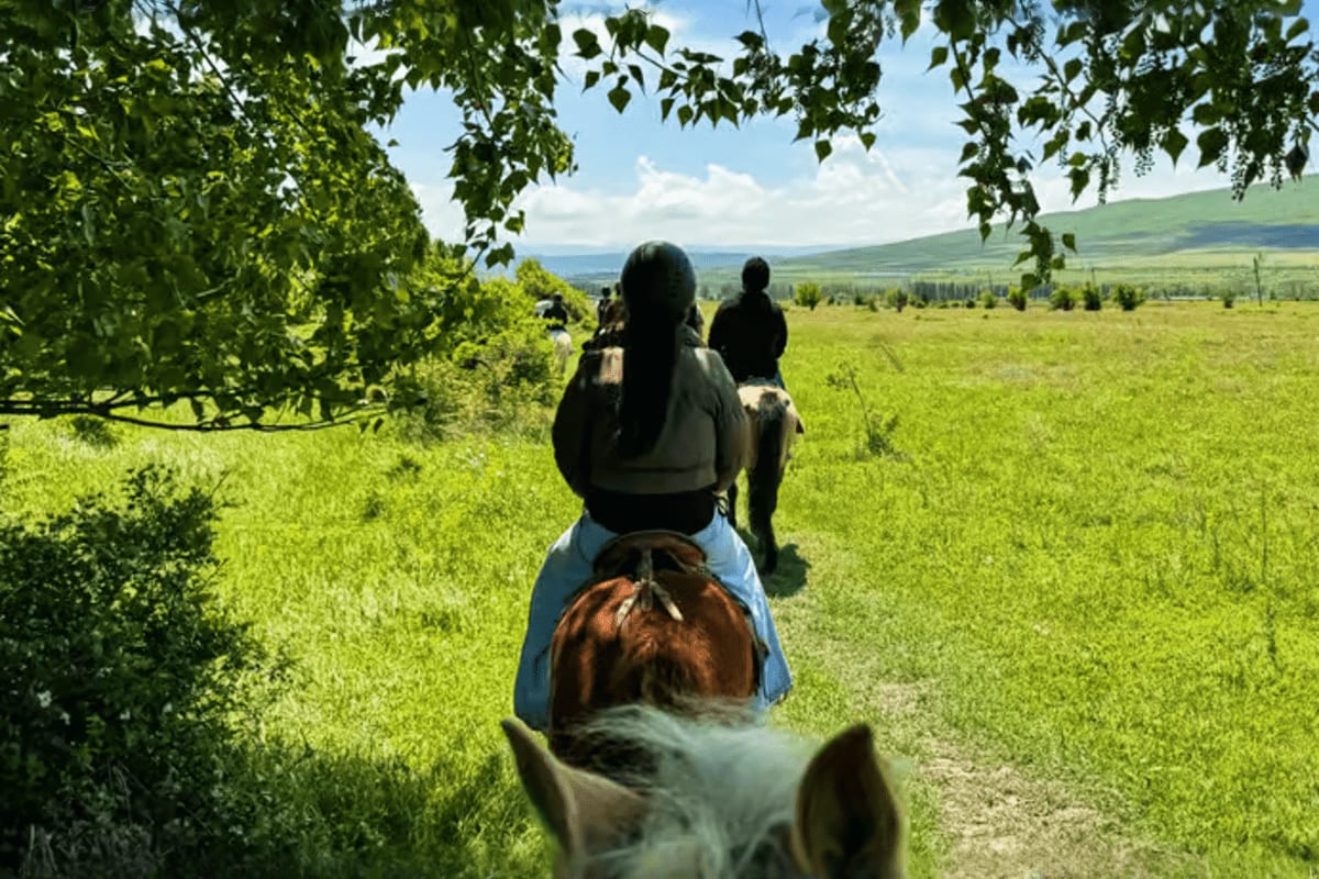 Group of riders on horseback on a trail through green valley with mountain landscape and birch trees framing the scene