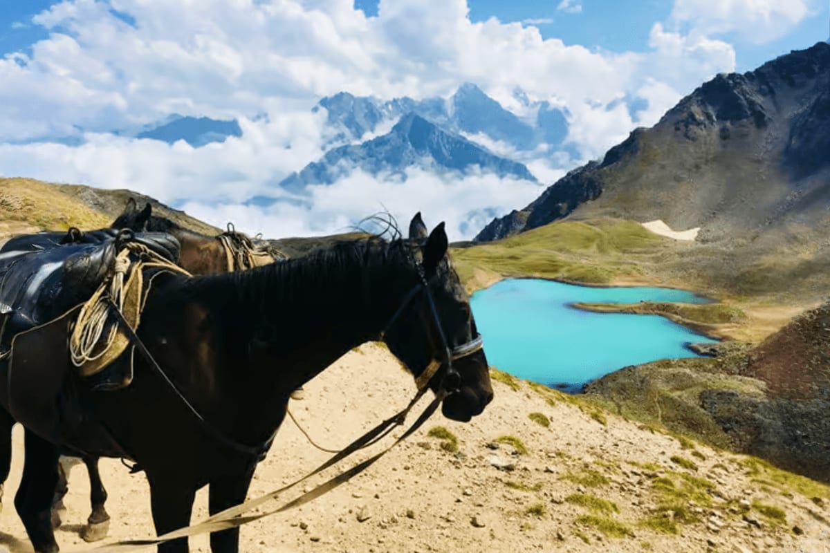Big Almaty Lake on Horseback: Mountain Day Escape Black horse with saddle and rope on mountain trail overlooking turquoise Big Almaty Lake and snow-capped peaks in distance