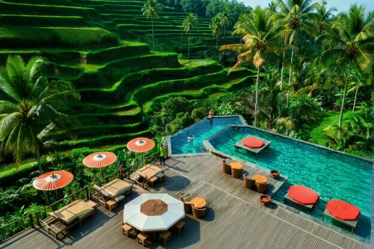 Aerial view of D Tukad Coffee Club pool deck with terraced rice paddies, lounge chairs, coral umbrellas, and tropical palm tr