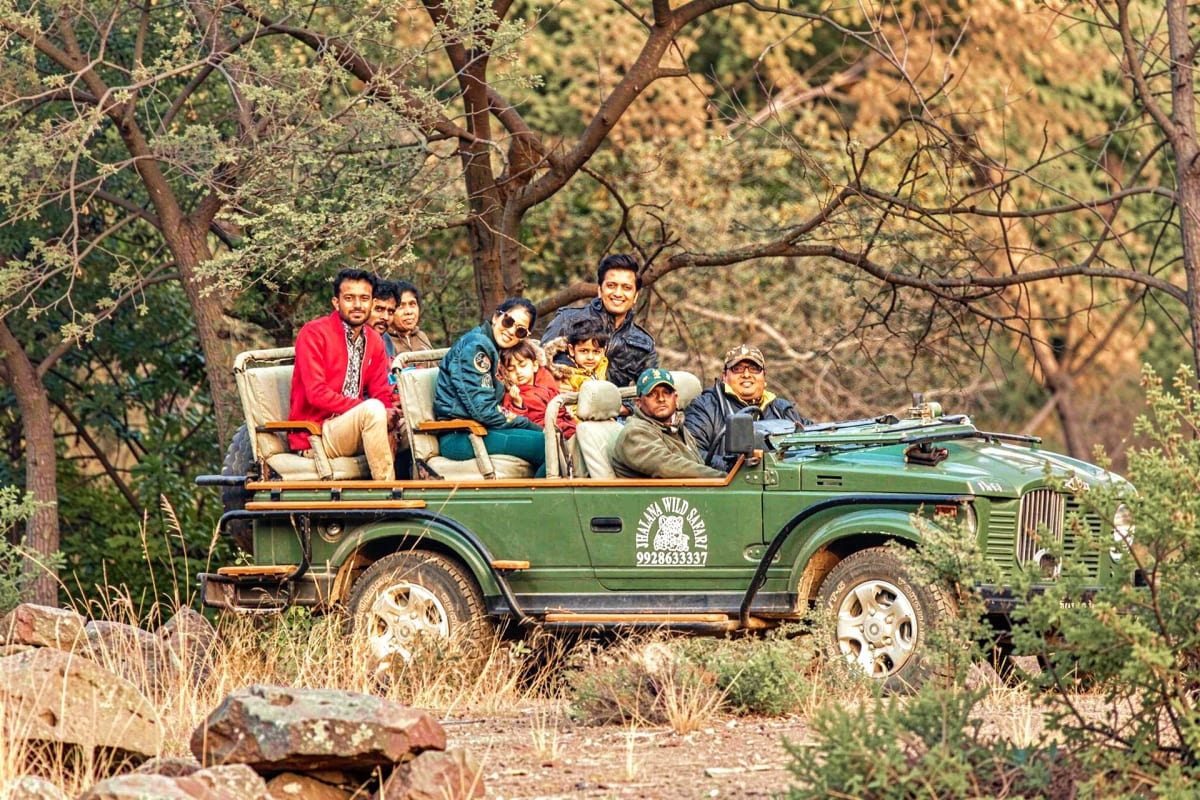 Jaipur Jhalana Sharing Jeep Safari Group of tourists on open-air jeep safari through forested wildlife area with dry grass and trees in background