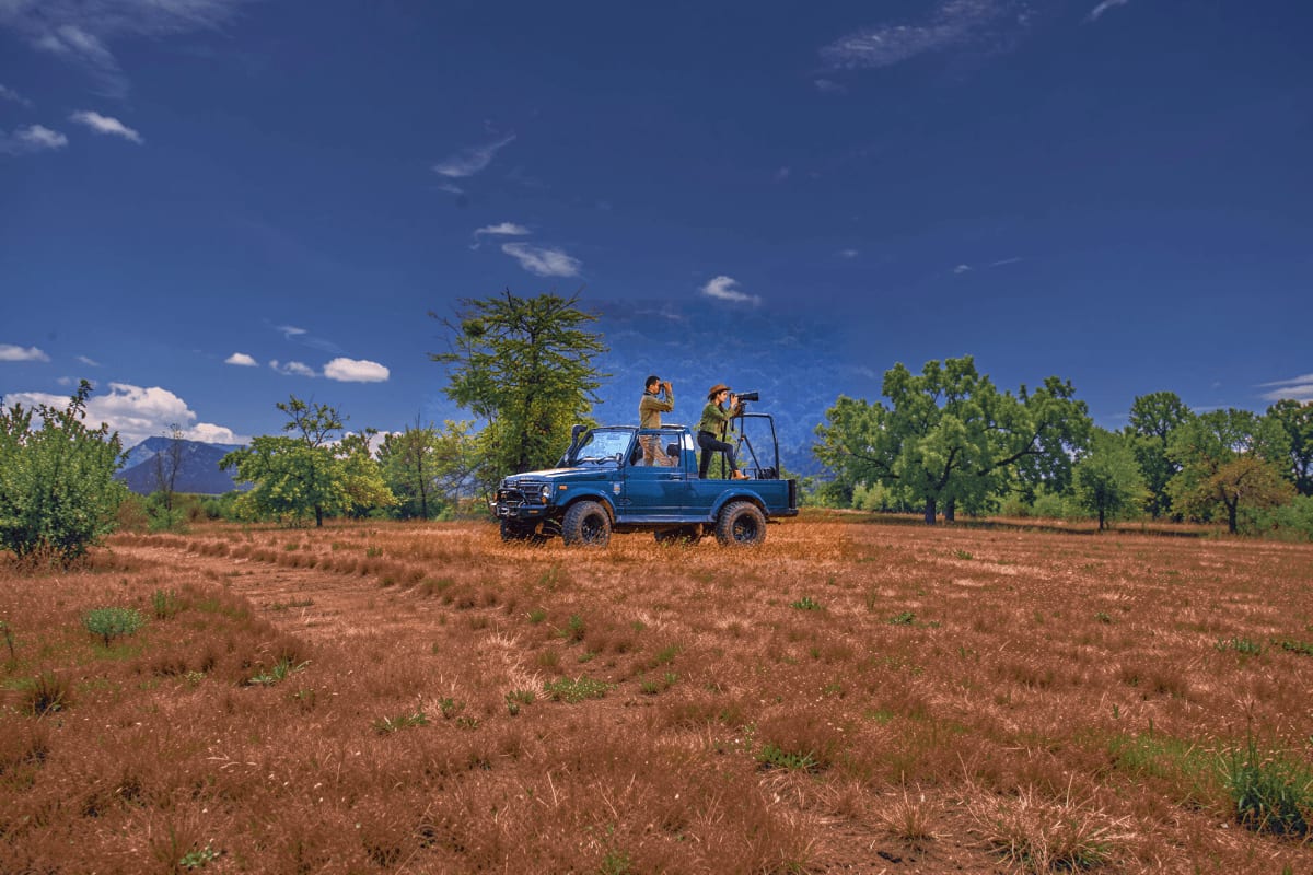 Blue Jeep safari vehicle with tourists using binoculars on arid savanna landscape with scattered trees and mountains in backg