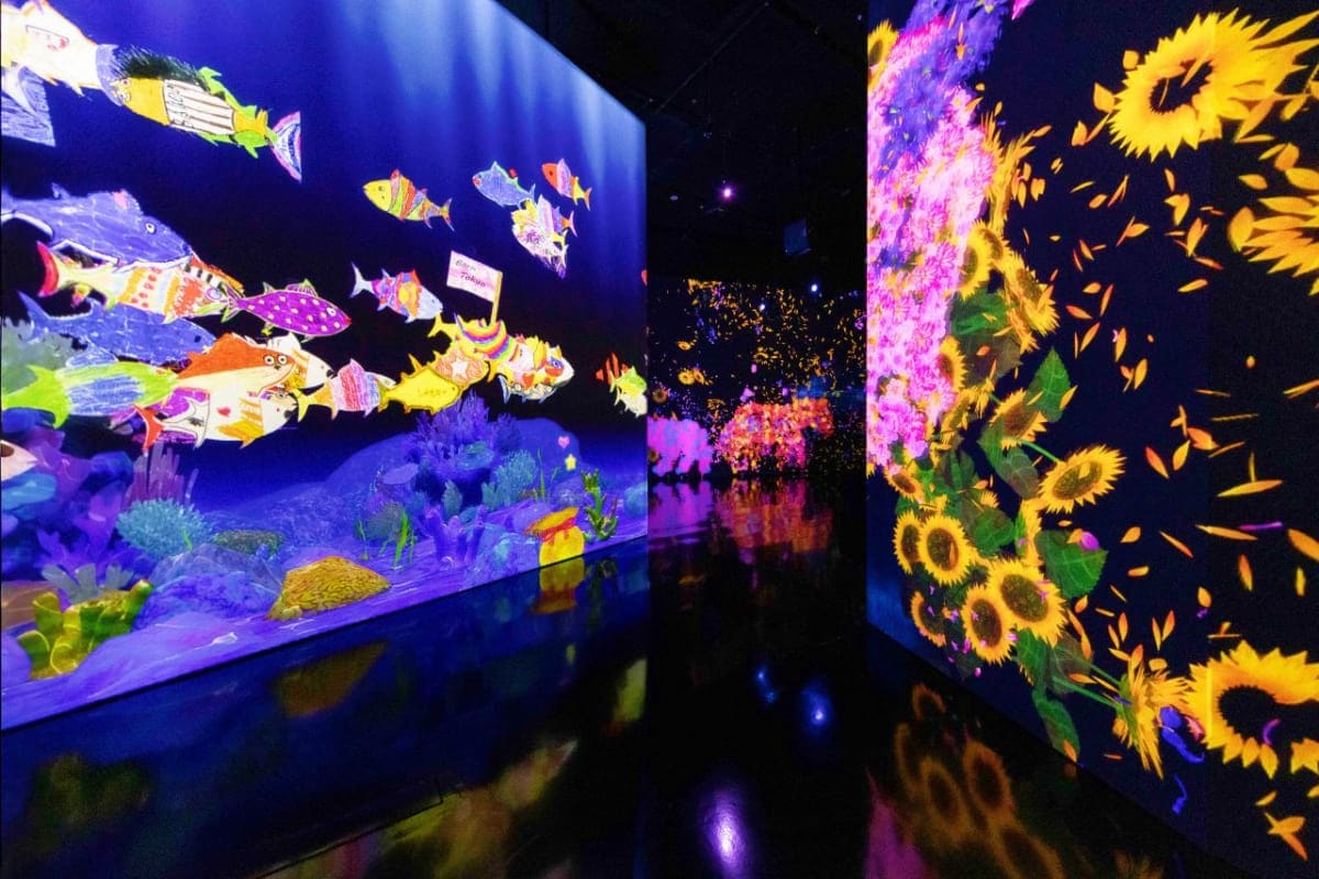 ArtScience Museum Singapore Immersive digital art exhibition at ArtScience Museum with colorful animated fish on left screen and sunflowers on right scre