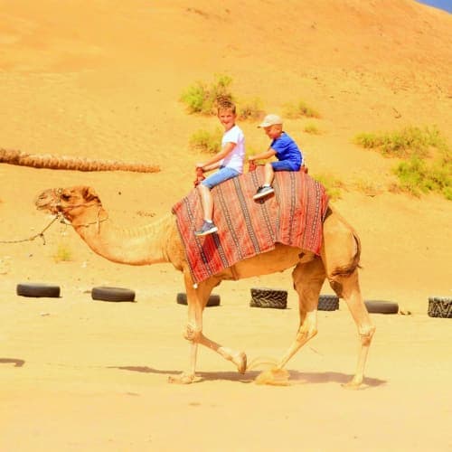 Two children riding a camel with colorful saddle blanket in sandy desert landscape with sparse vegetation