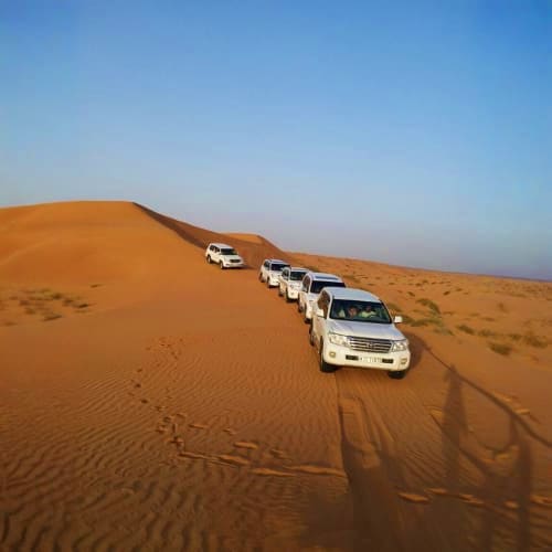 Convoy of white SUVs driving in single file down a sandy desert dune under clear blue sky during desert safari tour