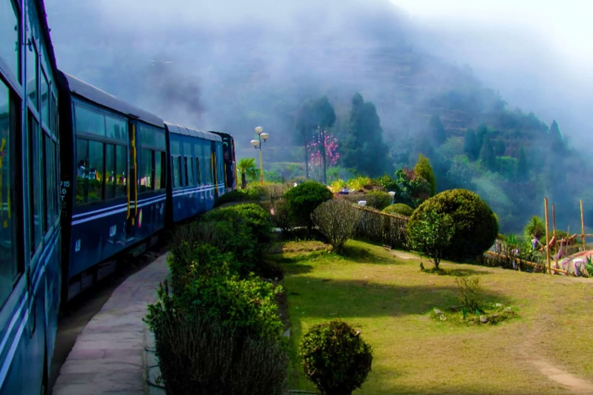 Sikkim and Darjeeling Scenic Circuit Tour with Pelling Skywalk Blue toy train traveling through misty mountain landscape with manicured gardens and forested hillsides in Darjeeling region