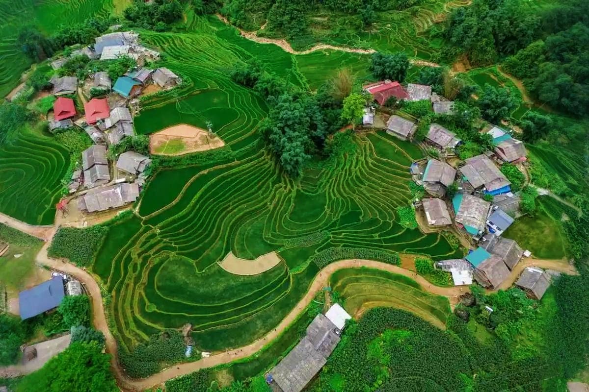 Aerial view of terraced rice paddies in Vietnam with traditional houses and red-roofed buildings scattered among lush green f