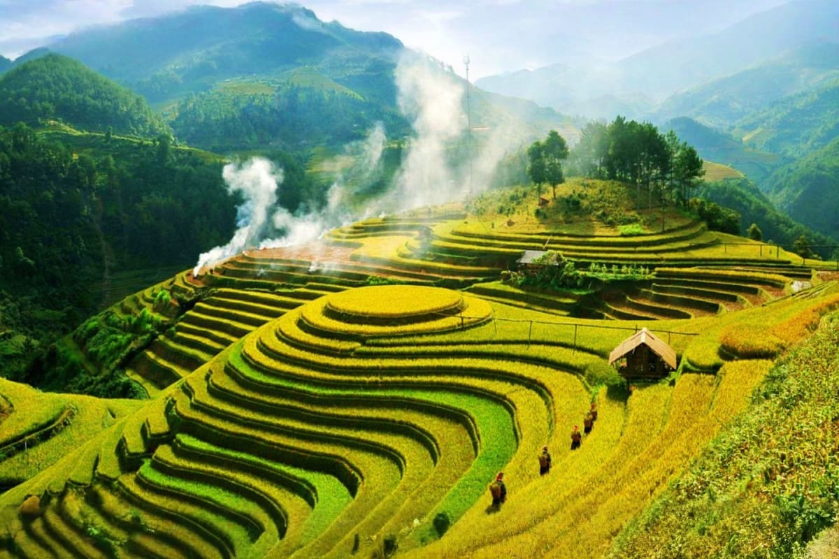 Terraced rice fields in mountainous valley with traditional stilt house and morning mist rising over green hills in rural Vie
