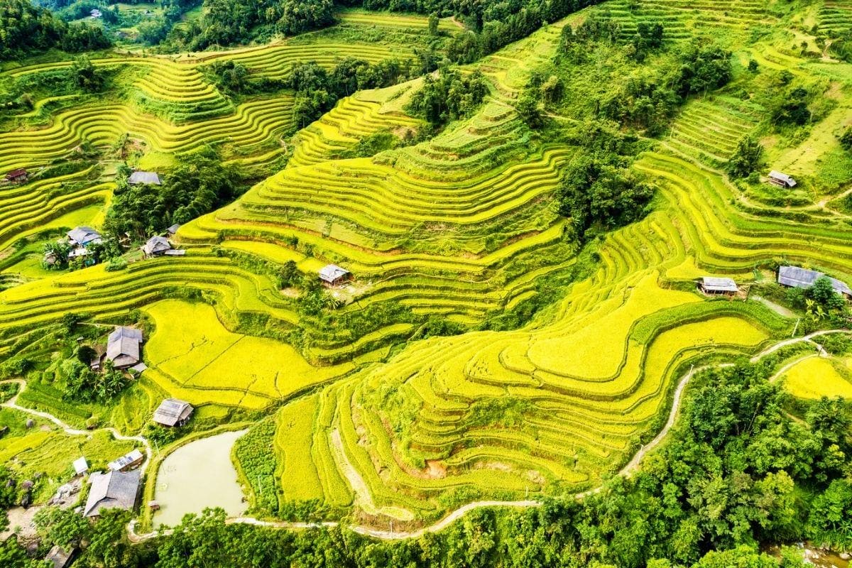 Aerial view of terraced rice paddies in Vietnam with traditional farming villages, verdant hillsides, and winding paths betwe