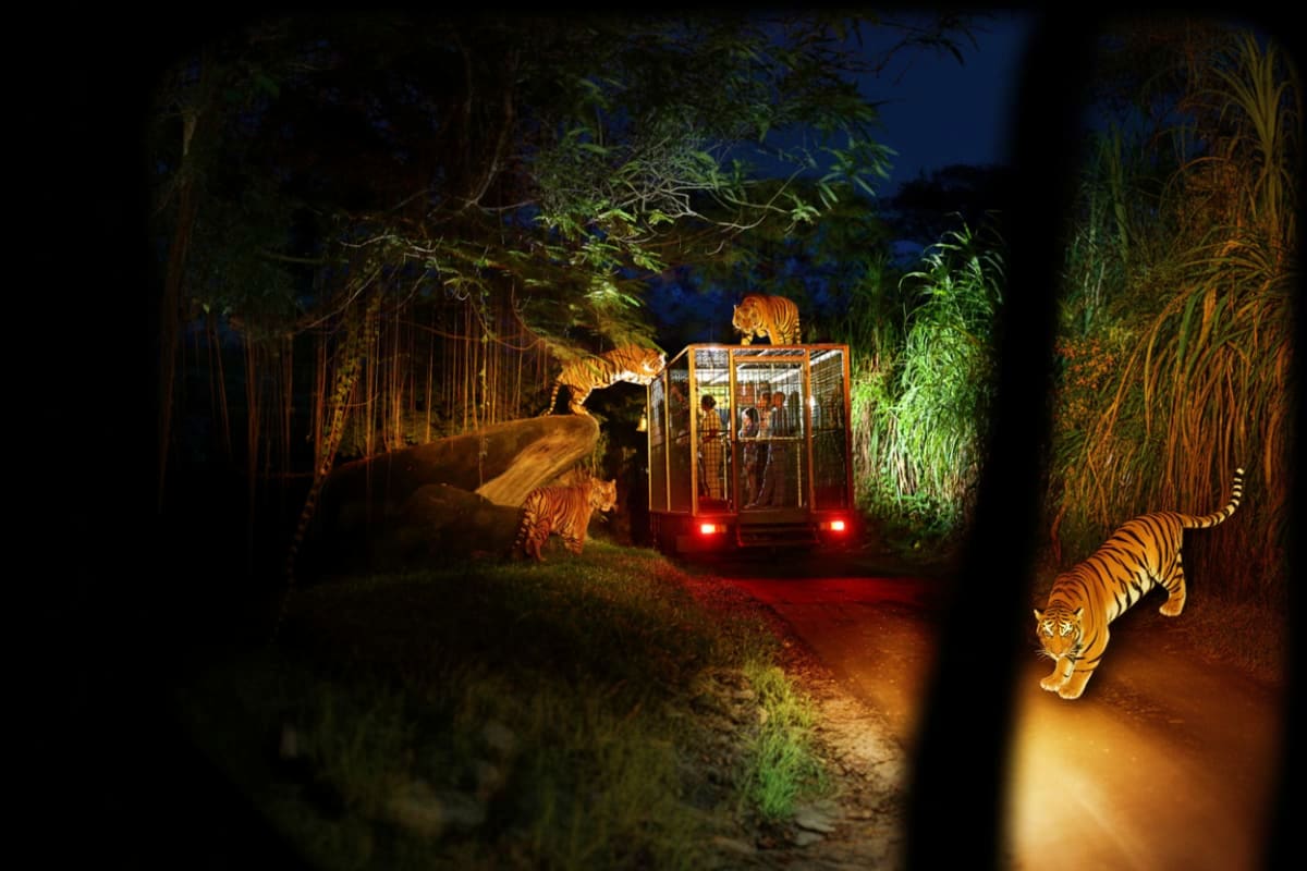 Singapore Malaysia Family tour Tiger safari cage ride at night with multiple tigers surrounding the vehicle on a dark jungle path