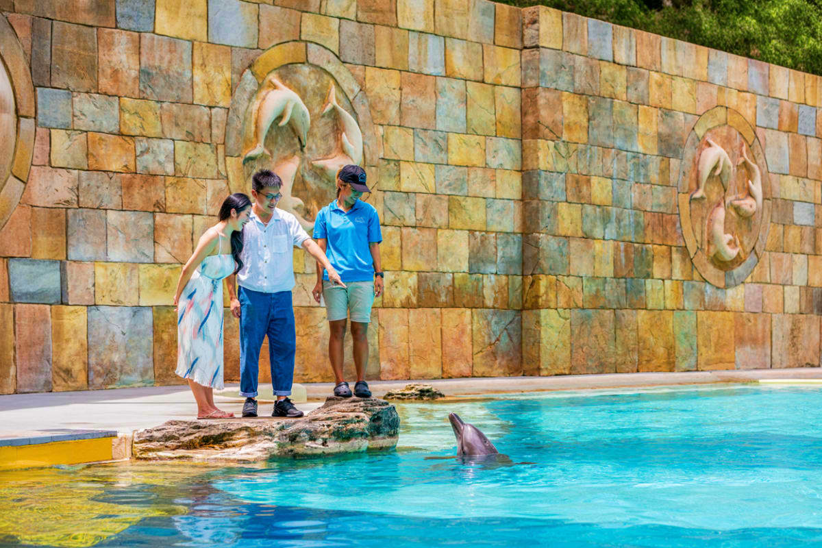 Exclusive Singapore and sentosa tour Family watching dolphin at marine park pool with decorative stone wall backdrop at Sentosa Island Singapore