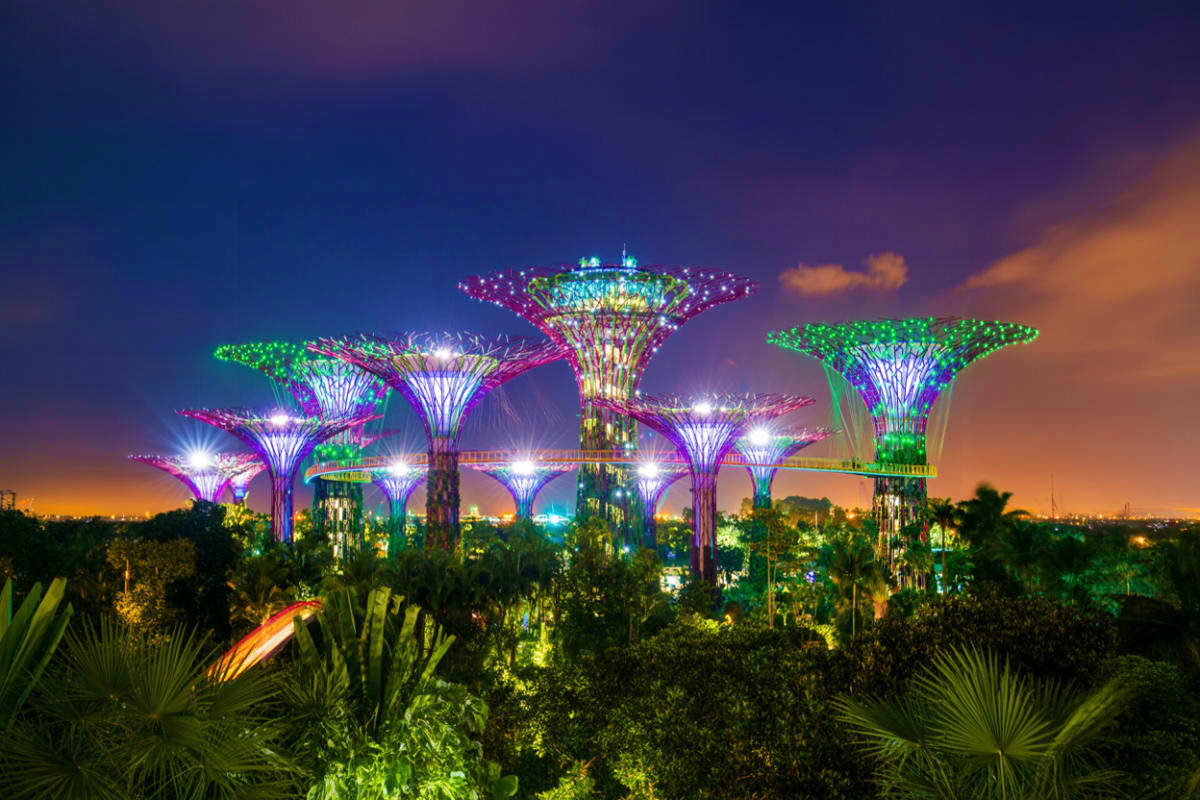 Illuminated Supertree Grove at Gardens by the Bay in Singapore at night with colorful LED lights and surrounding tropical veg