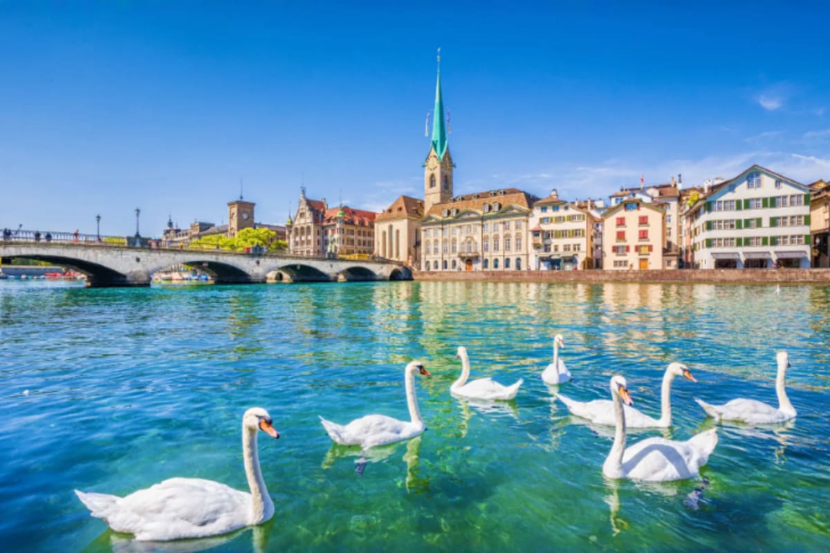 White swans swimming in turquoise river with historic Zurich cityscape and church spire reflected in water under blue sky