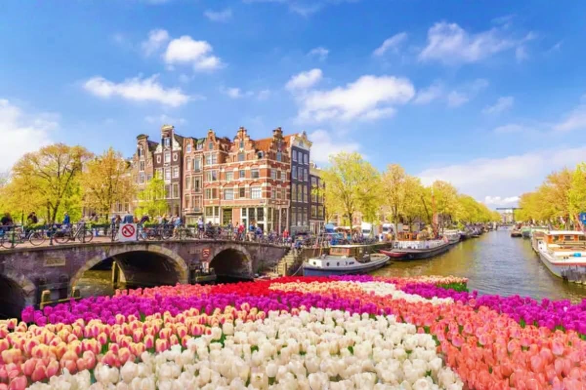 Colorful tulip flowers along Amsterdam canal with historic brick buildings, arched bridge, boats, and cyclists under blue sky