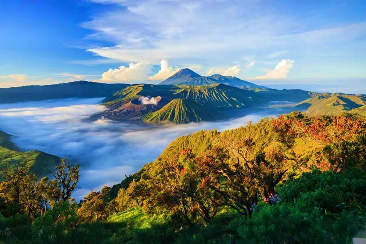 Mount Bromo volcano with misty valleys and surrounding peaks at sunrise in East Java, Indonesia
