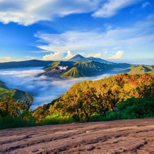 Mount Bromo volcanic crater surrounded by sea of clouds and forested slopes under blue sky, Indonesia