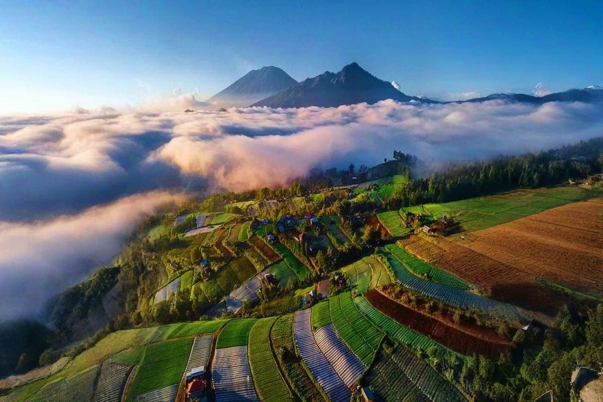 Terraced agricultural fields on mountainside overlooking sea of clouds with volcanic peaks in background at sunrise