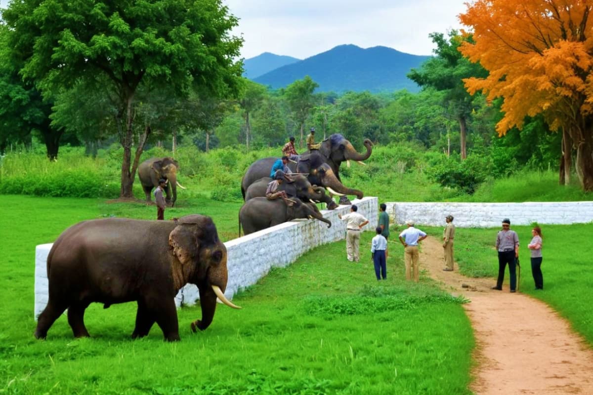 Natures Embrace Karnataka and Kerala Escape Mahout riding elephant with tourists watching at wildlife sanctuary in tropical forest with mountains in background
