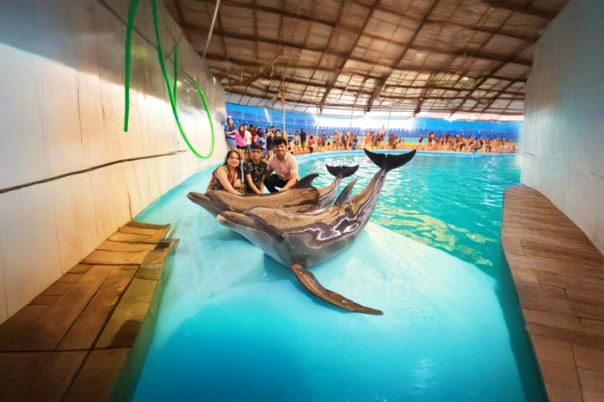 Dolphinarium Visitors posing with dolphins in shallow pool at indoor Dolphinarium Pattaya facility with spectators in background