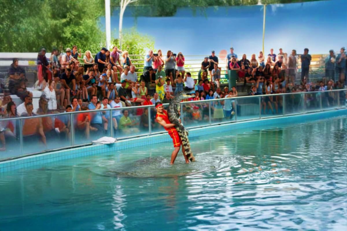 The Million Years Stone Park and Pattaya Crocodile Farm Performer in red costume wrestling a large crocodile in pool during live show at crocodile farm with spectators watching from