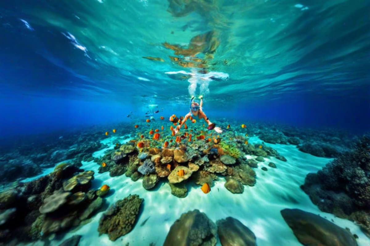 Coral Island Snorkeler swimming above vibrant coral reef with orange tropical fish and clear turquoise ocean water