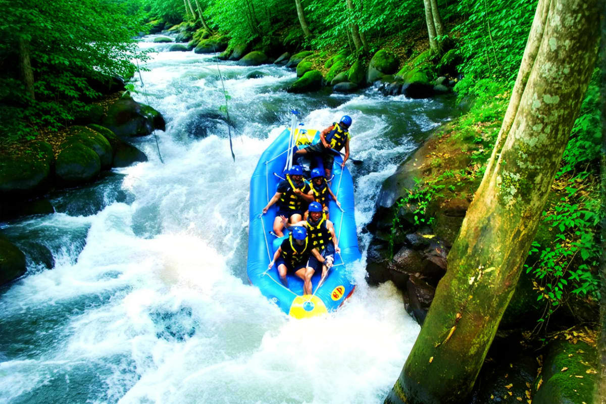 Group of rafters in blue raft navigating white water rapids on Ayung River surrounded by dense green jungle forest