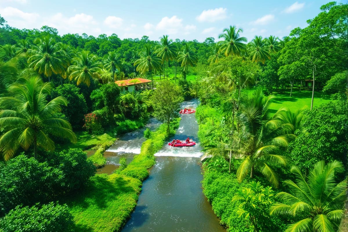 Aerial view of Ayung River with red rafting boats navigating white water between lush green jungle and palm trees