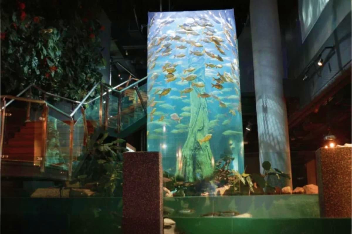 Large aquarium tank display showing fish swimming around green underwater structure with blue water backdrop in Aquaria KLCC