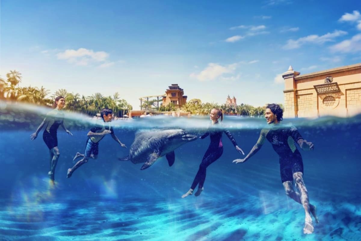Swimmers and snorkelers in wetsuits swimming underwater with a dolphin at Atlantis resort, with exotic architecture visible a