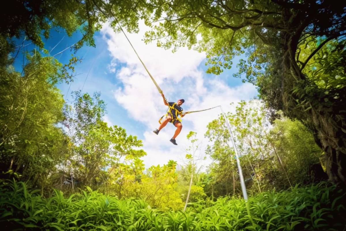 Escape Theme Park Penang Person zip-lining through dense tropical forest canopy at adventure park with blue sky visible above