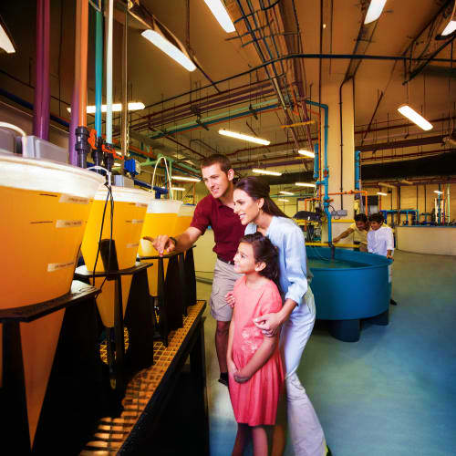 Family viewing underwater tunnel at aquarium with yellow and blue tanks visible in modern facility