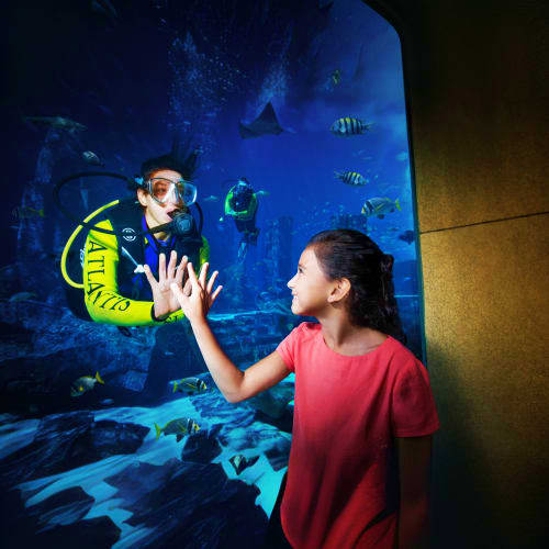 Family viewing underwater tunnel at aquarium with yellow and blue tanks visible in modern facility (4)