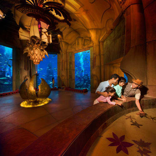 Family viewing underwater tunnel at aquarium with yellow and blue tanks visible in modern facility (5)