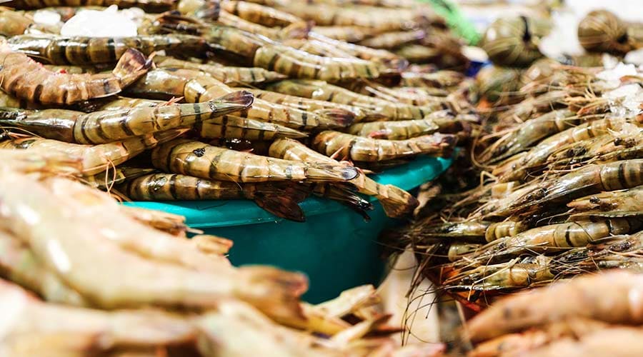 Fresh tiger prawns and shrimp displayed at a seafood market in Ras Al Khaimah