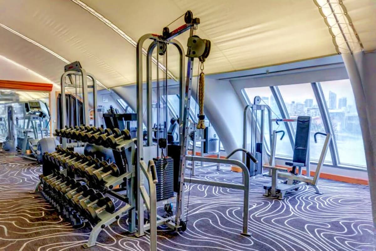 Modern gym interior with weight racks, cable machines, and floor-to-ceiling windows overlooking cityscape on a cruise ship