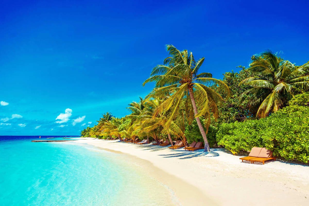 Tropical beach with white sand, turquoise water, palm trees, and lounge chairs at Medhufushi Island Resort in the Maldives