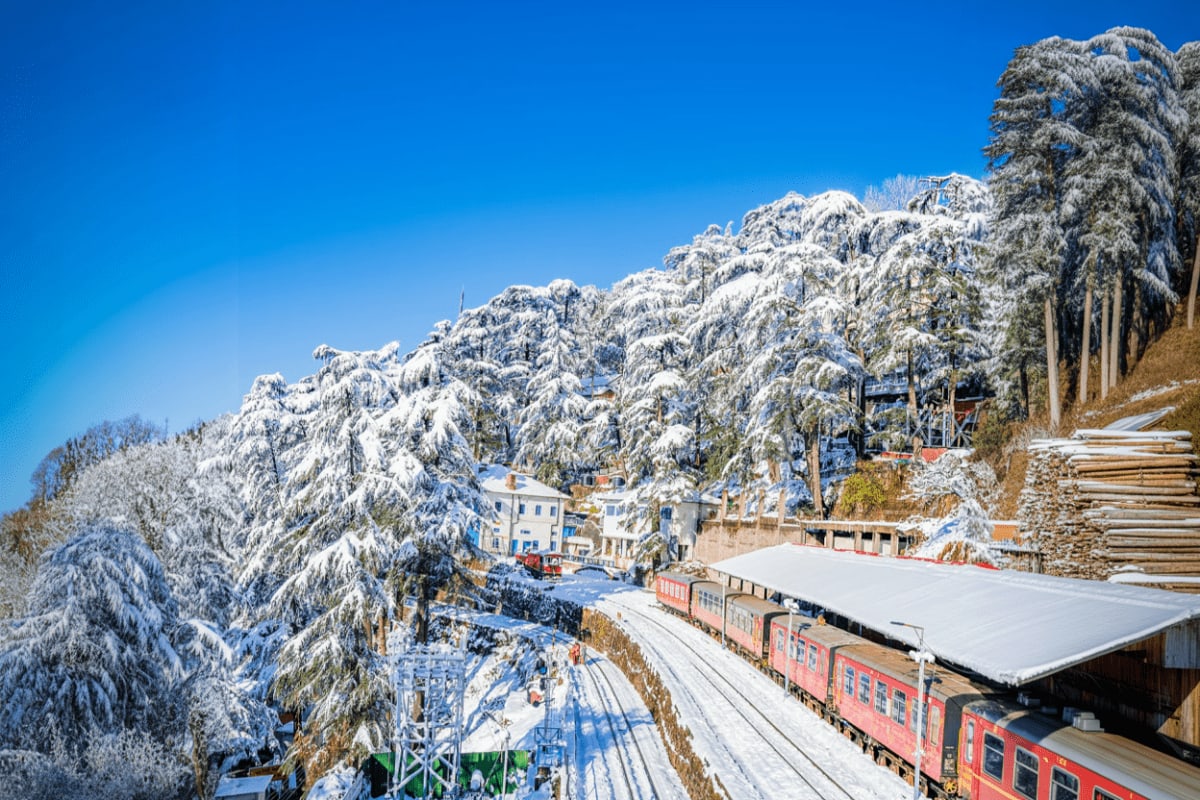 Shimla Short Break with Heritage Hills and Kufri Adventure Snow-covered pine forests with heritage colonial buildings and red toy train tracks at Shimla hill station in winter