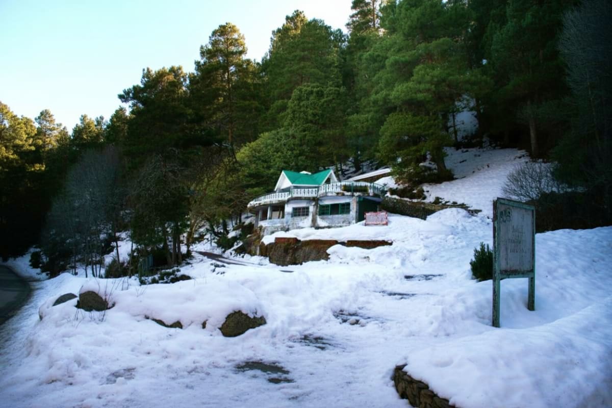 Snow-covered landscape with white cottage featuring turquoise roof nestled among pine trees in mountainous Himachal Pradesh r