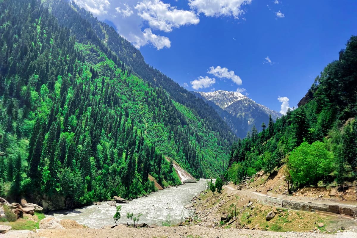 Mountain valley with dense coniferous forest, flowing river, snow-capped peaks, and blue sky with clouds in Kazakhstan