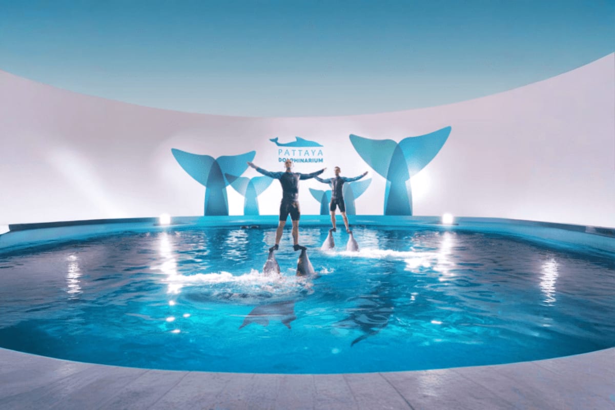 Dolphinarium Trainers interacting with dolphins in a pool at Pattaya Dolphinarium with large blue whale tail sculptures in the background