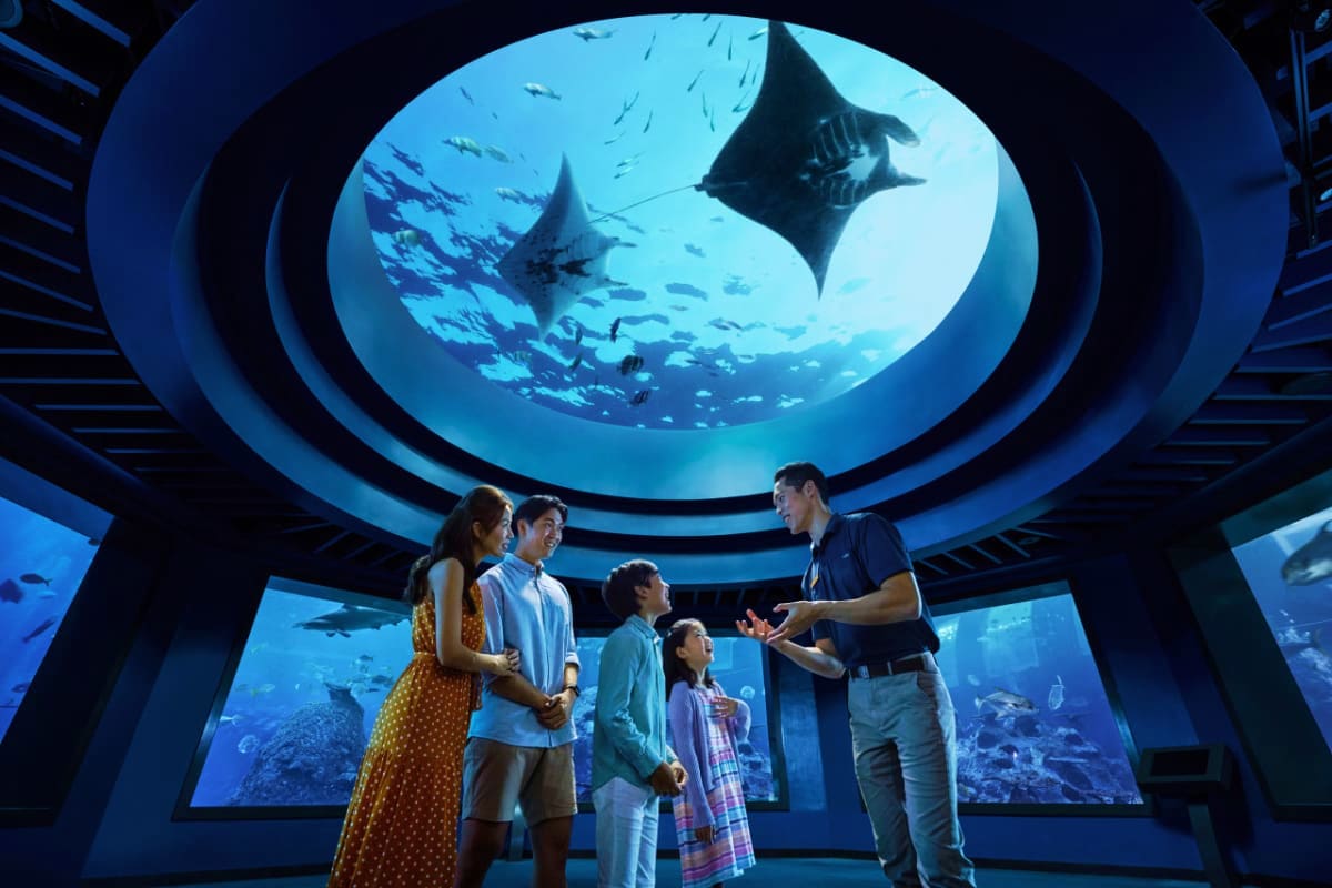 Family watching manta rays and fish swim overhead in circular aquarium tunnel at Singapore Oceanarium