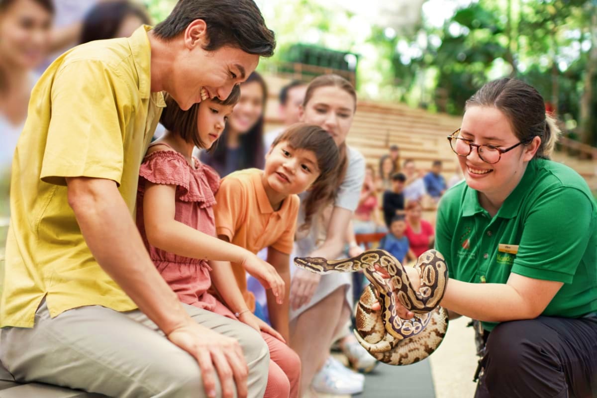 Singapore Zoo with Tram Ride Zoo educator showing a ball python to children and adults during a guided wildlife education session at Singapore Zoo