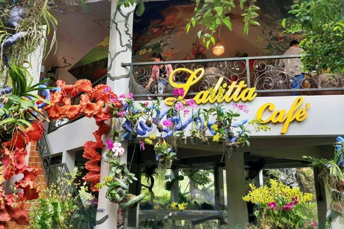 Lalitta Café storefront with yellow sign decorated with vibrant red and pink flowers, ornate metal railings, and lush green f